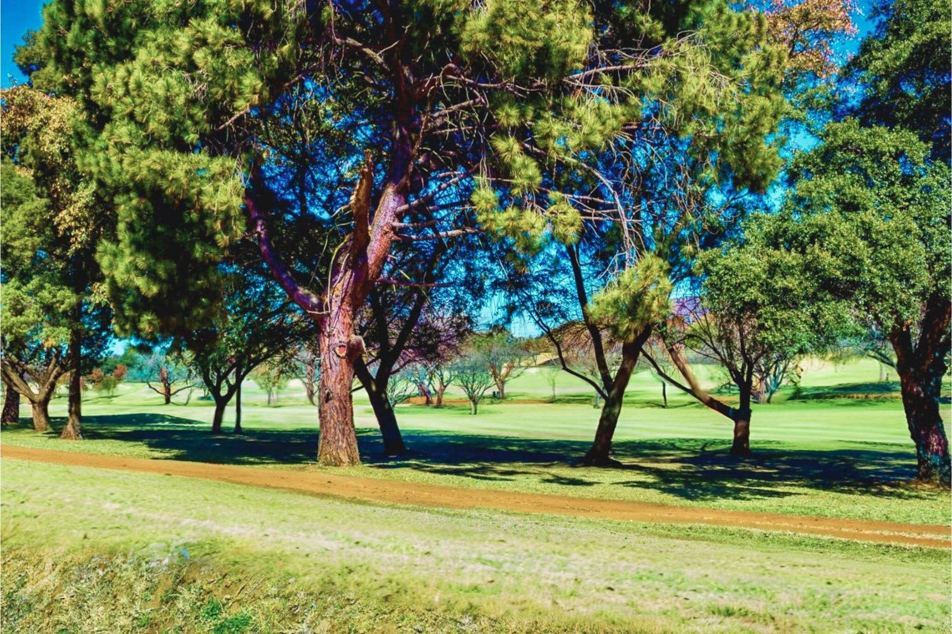 Glendower View Guest House Edenvale Luaran gambar