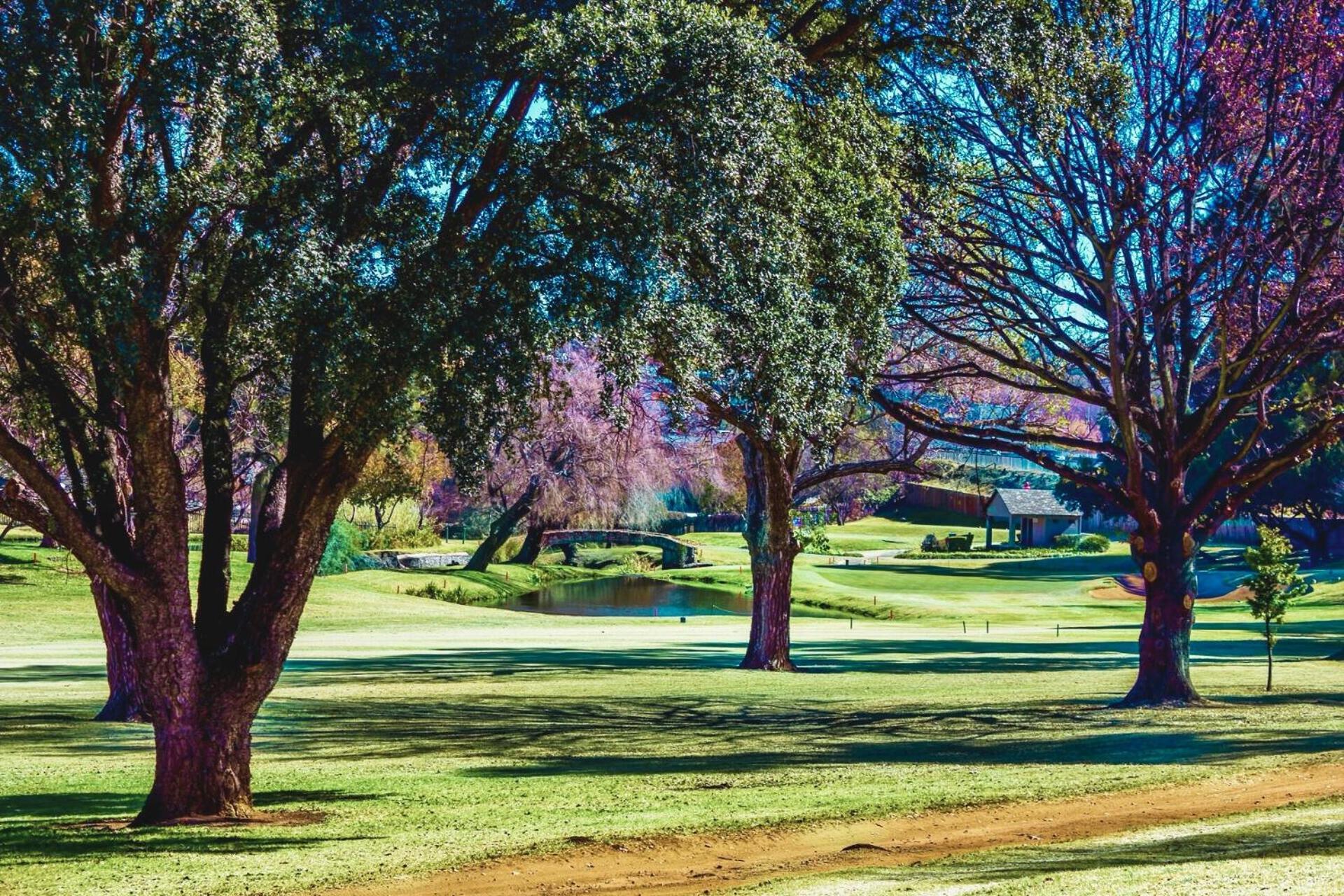 Glendower View Guest House Edenvale Luaran gambar